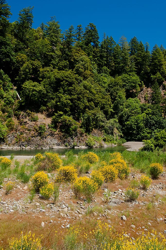 Hickey Campground photo 2