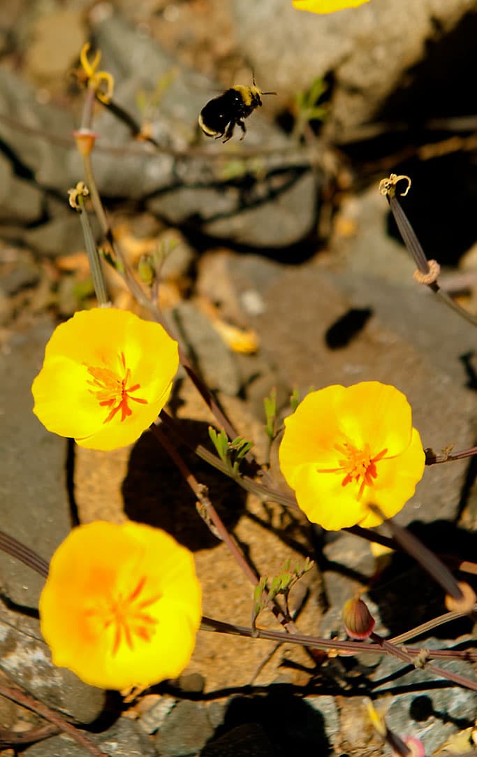 Rock Creek Campground
