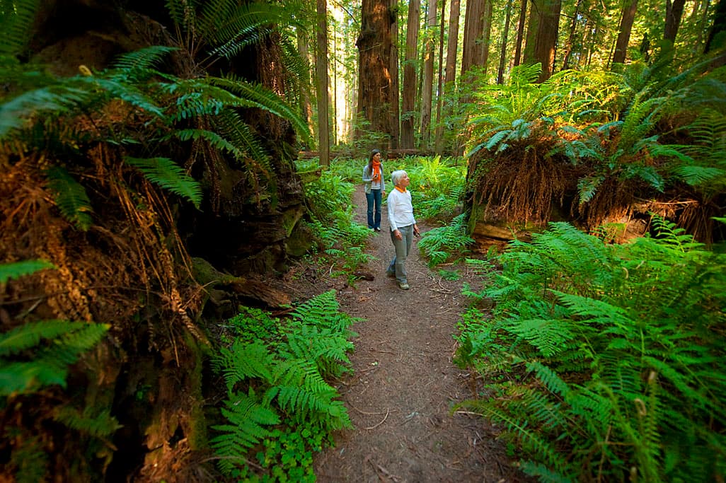 Burlington Camp photo 8