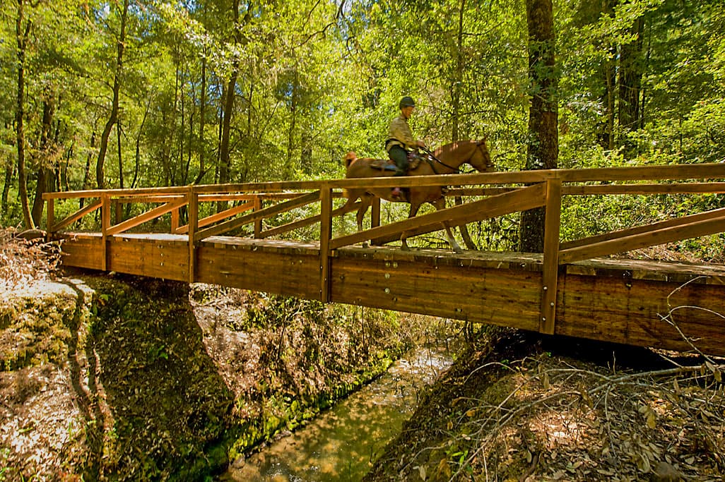 Burlington Camp photo 7