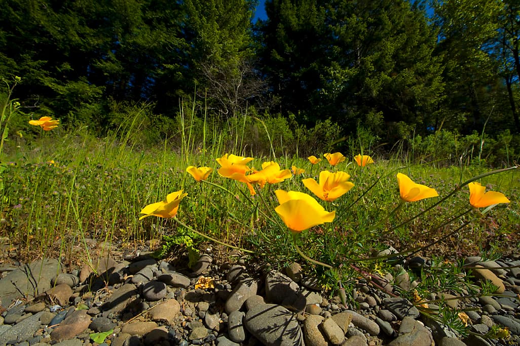 Burlington Camp photo 5