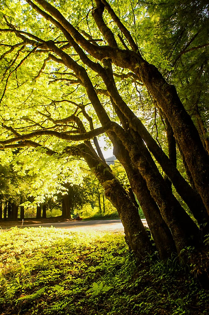 Burlington Camp photo 2