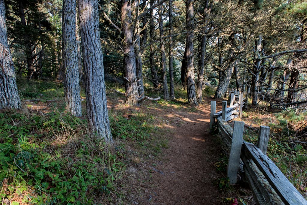 Campground (sites 1-30) photo 6