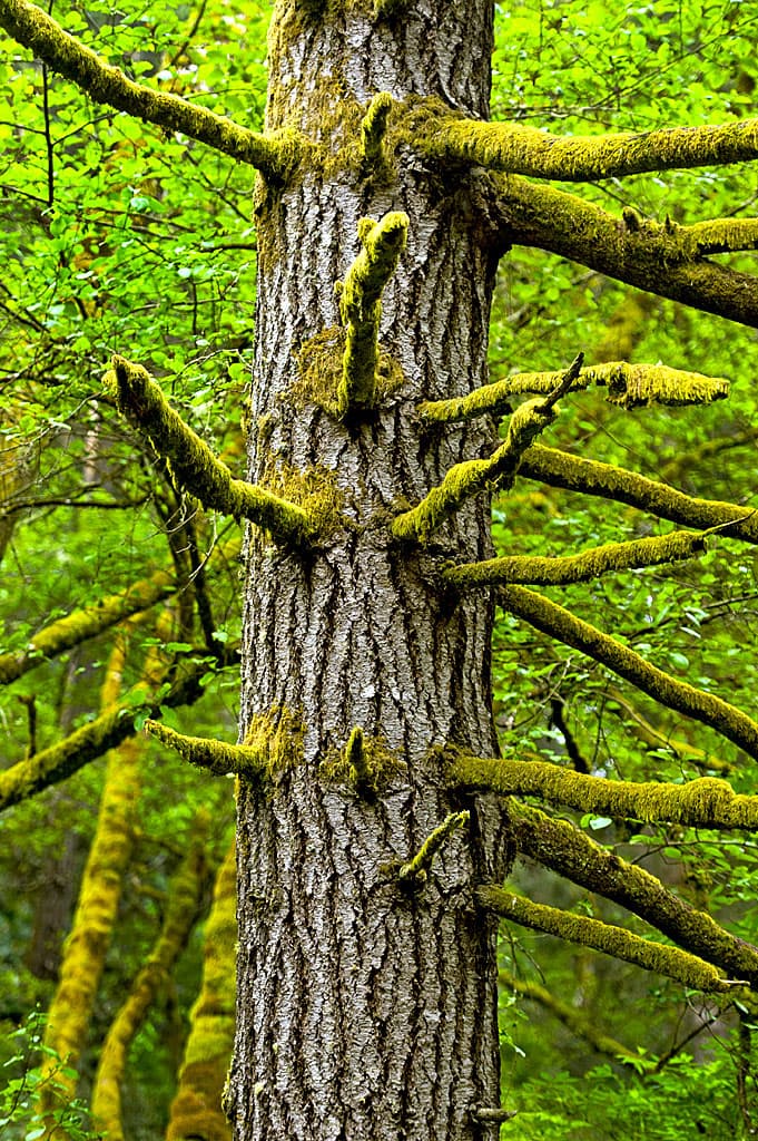 Group Camping Area photo 8