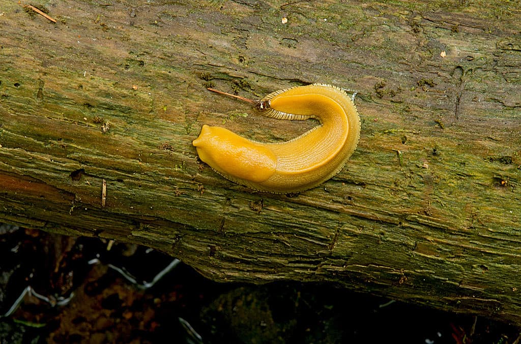 Group Camping Area photo 7