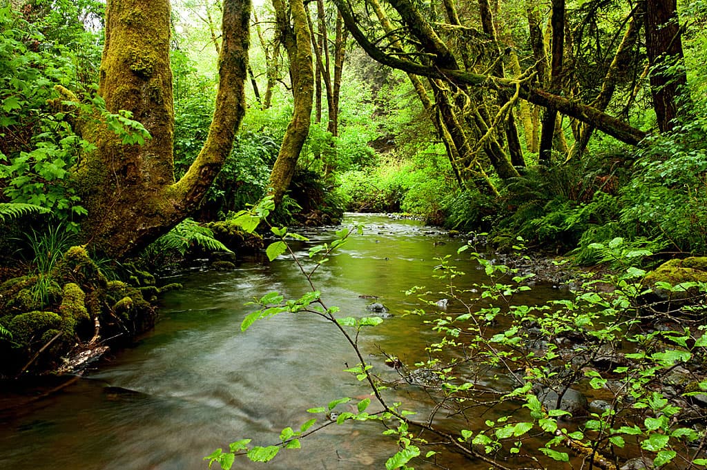 Group Camping Area photo 5