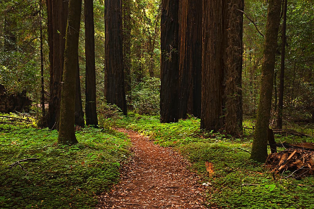 Wildcat Campground photo 8