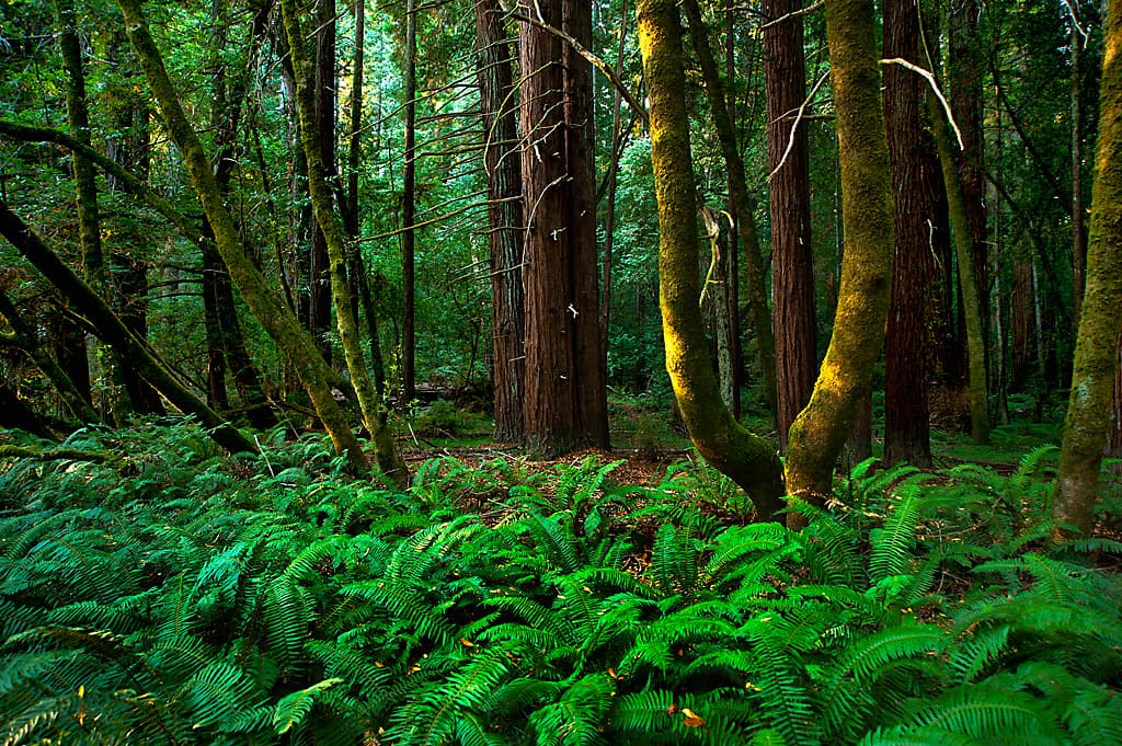 Wildcat Campground photo 6