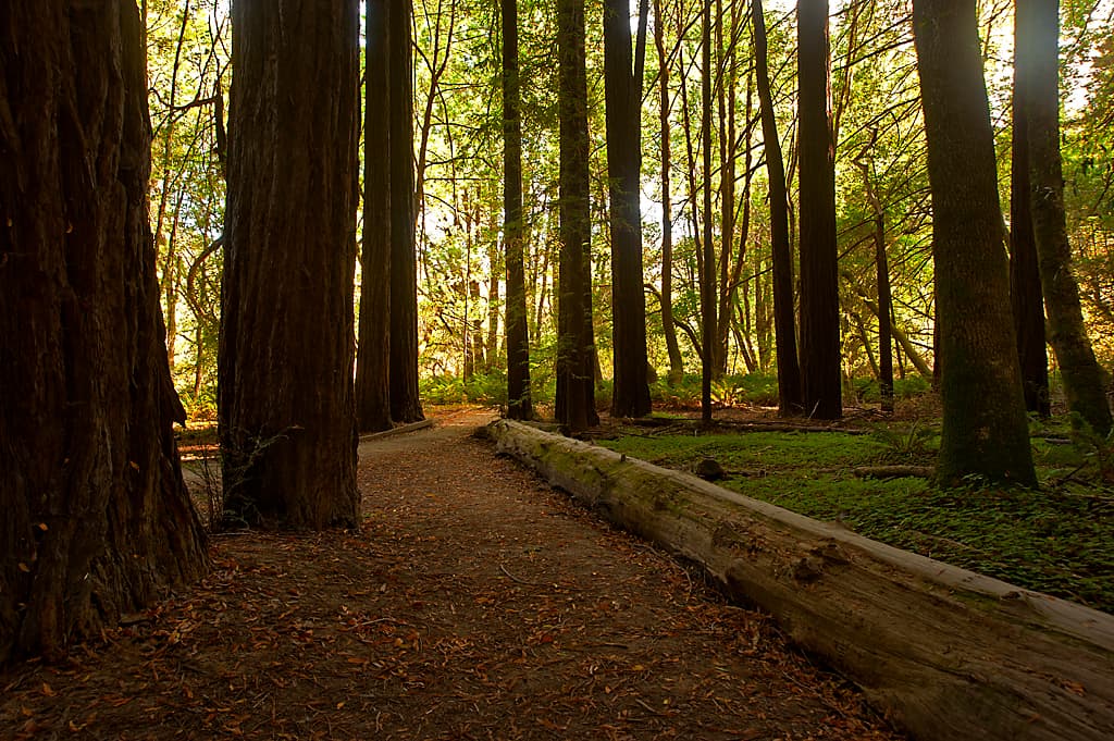 Wildcat Campground photo 4