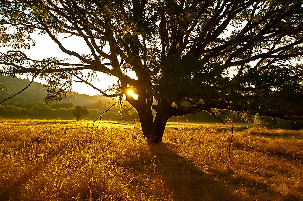 Wildcat Campground photo 2
