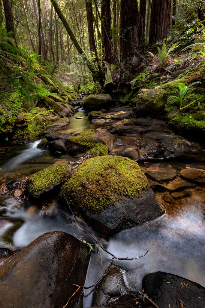 Gerstle Cove Campground (sites 1-30)