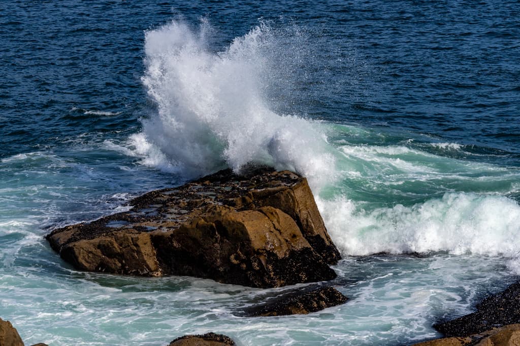 Gerstle Cove Campground (sites 1-30) photo 3
