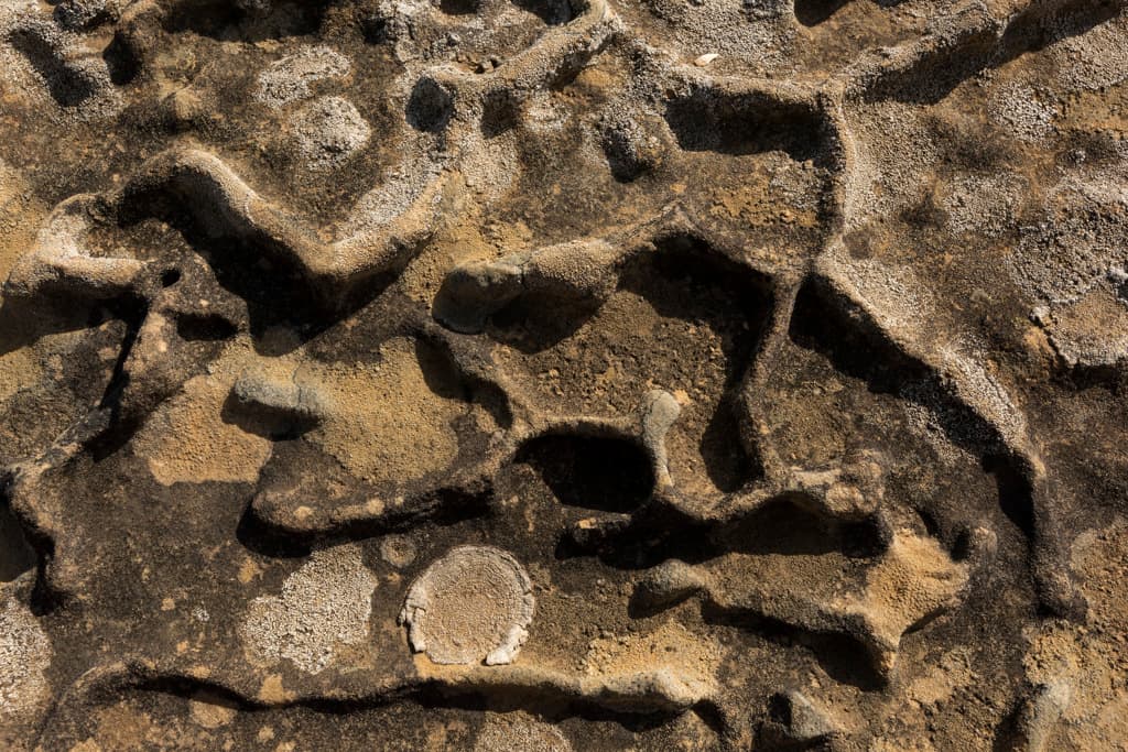 Gerstle Cove Campground (sites 1-30) photo 4