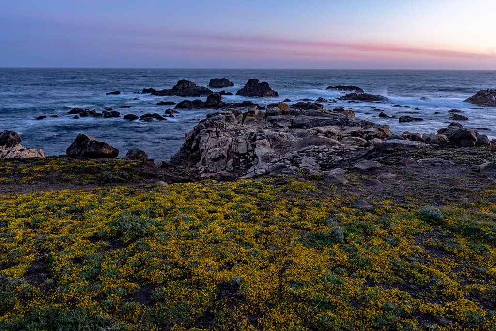Gerstle Cove Campground (sites 1-30) photo 2