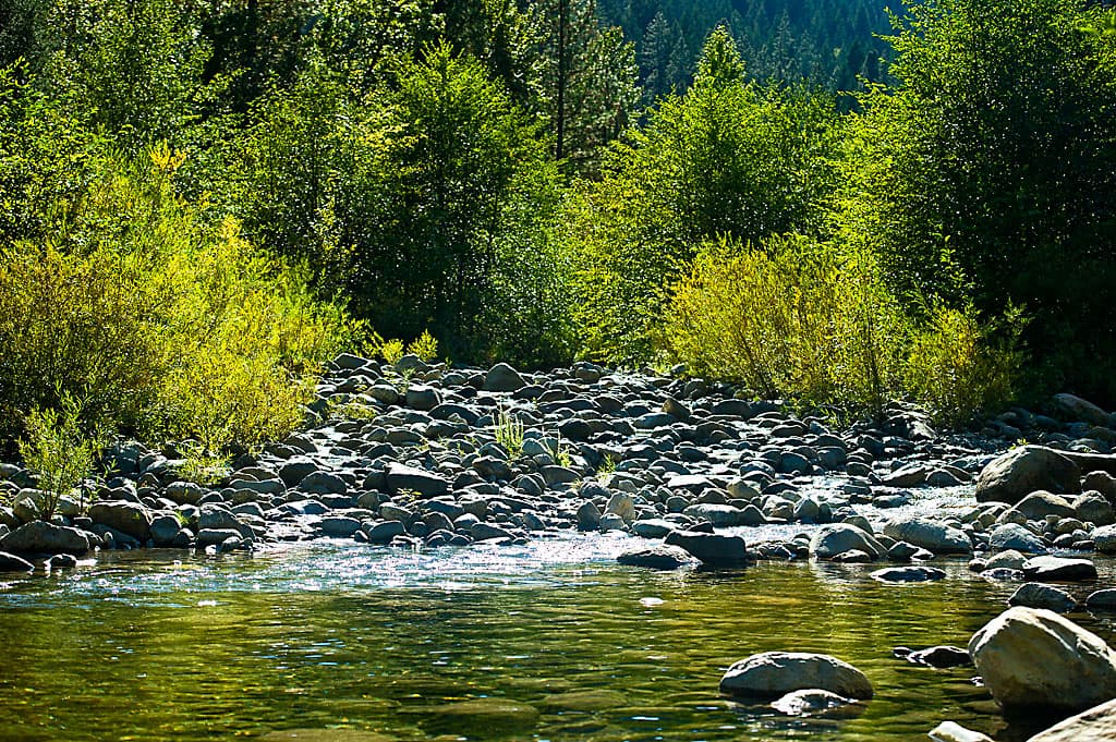 Riverside Campground photo 3