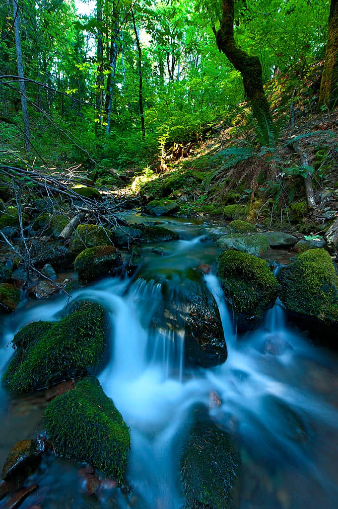 Castle Crags Campground