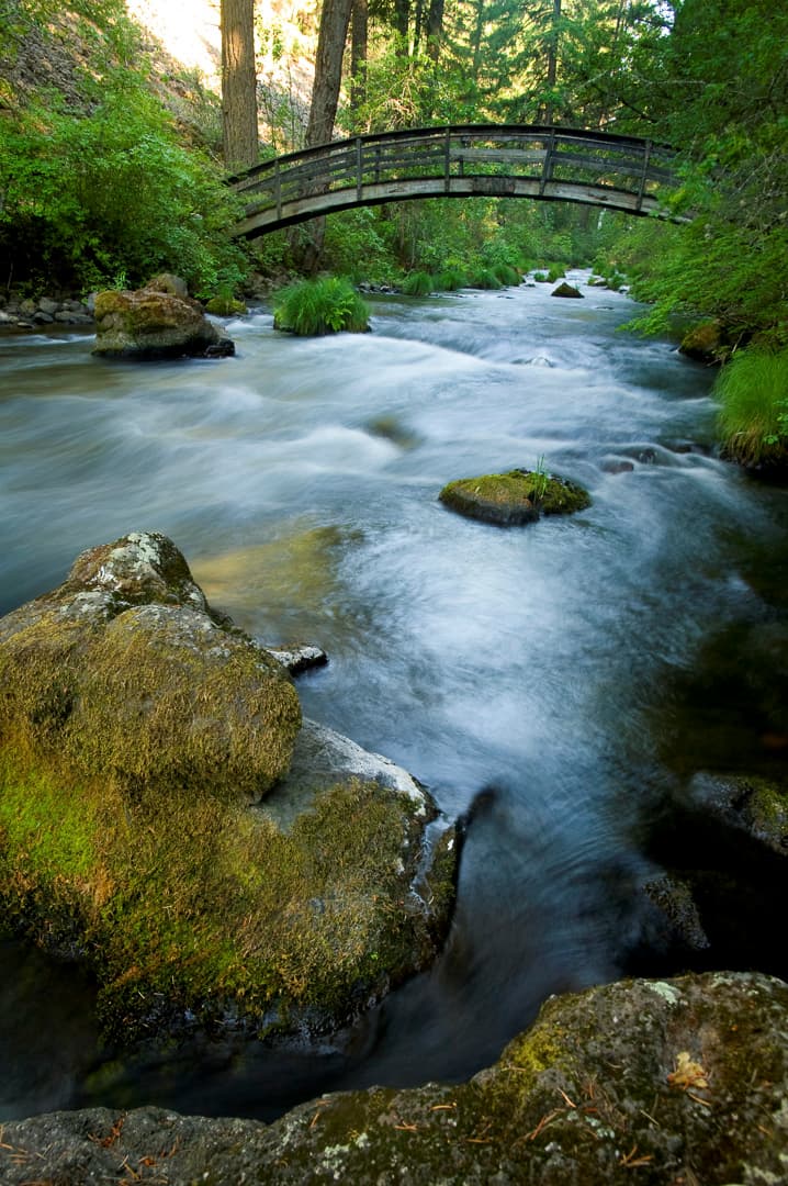 Rim Camp (sites 1-62) photo 8