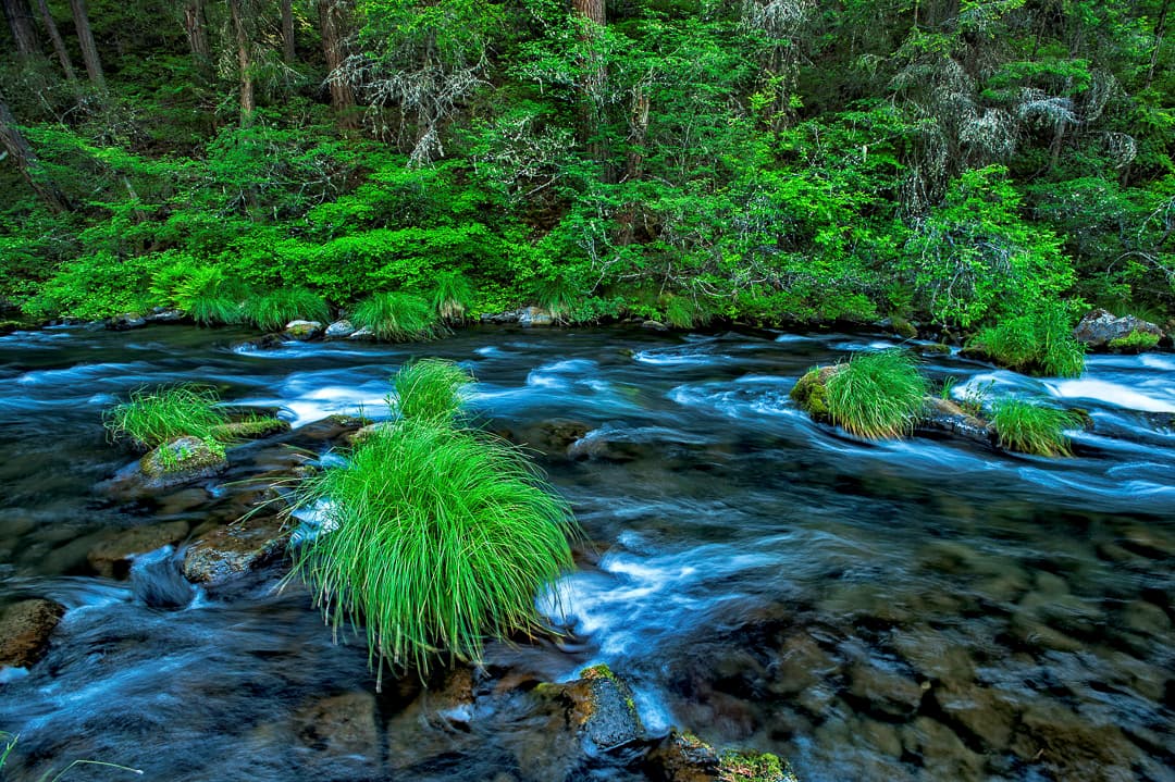 Rim Camp (sites 1-62) photo 6