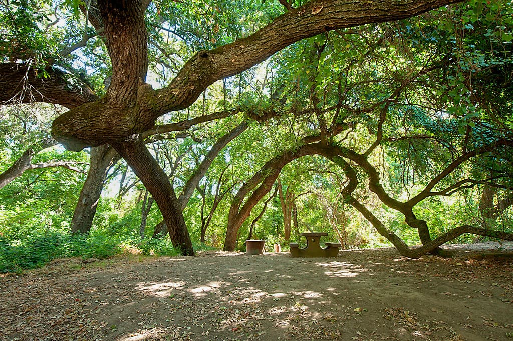 Group Camping Area photo 6