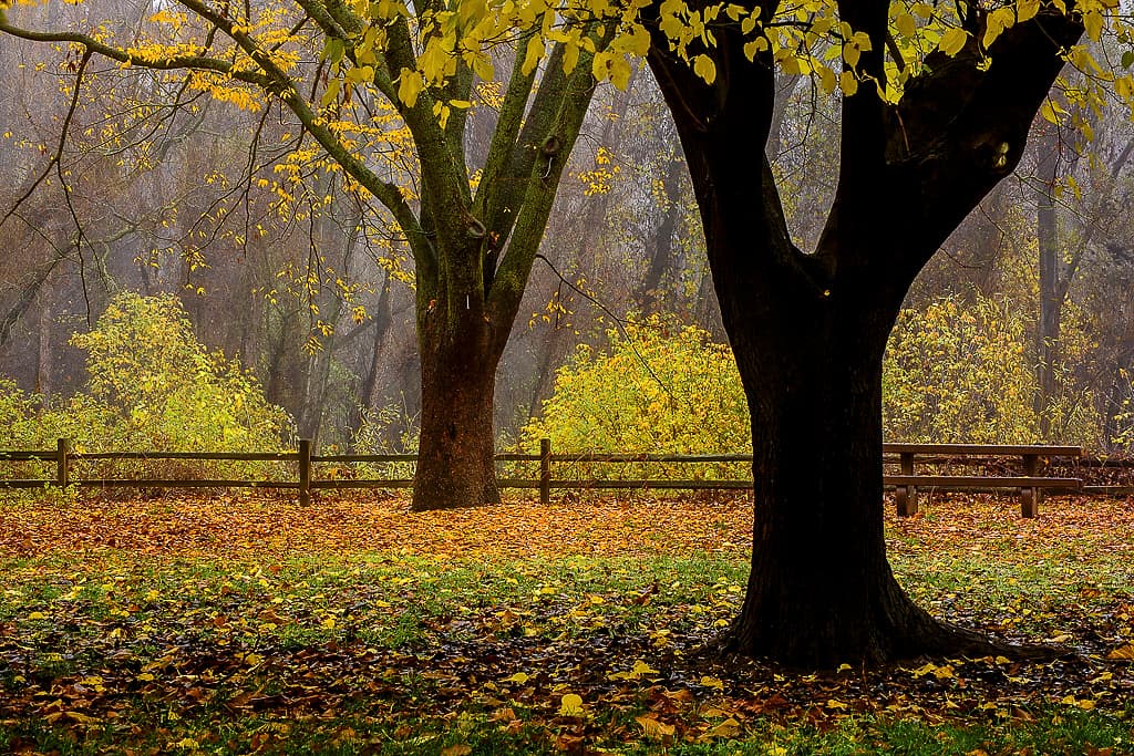 River Campground (sites 2-14) photo 7