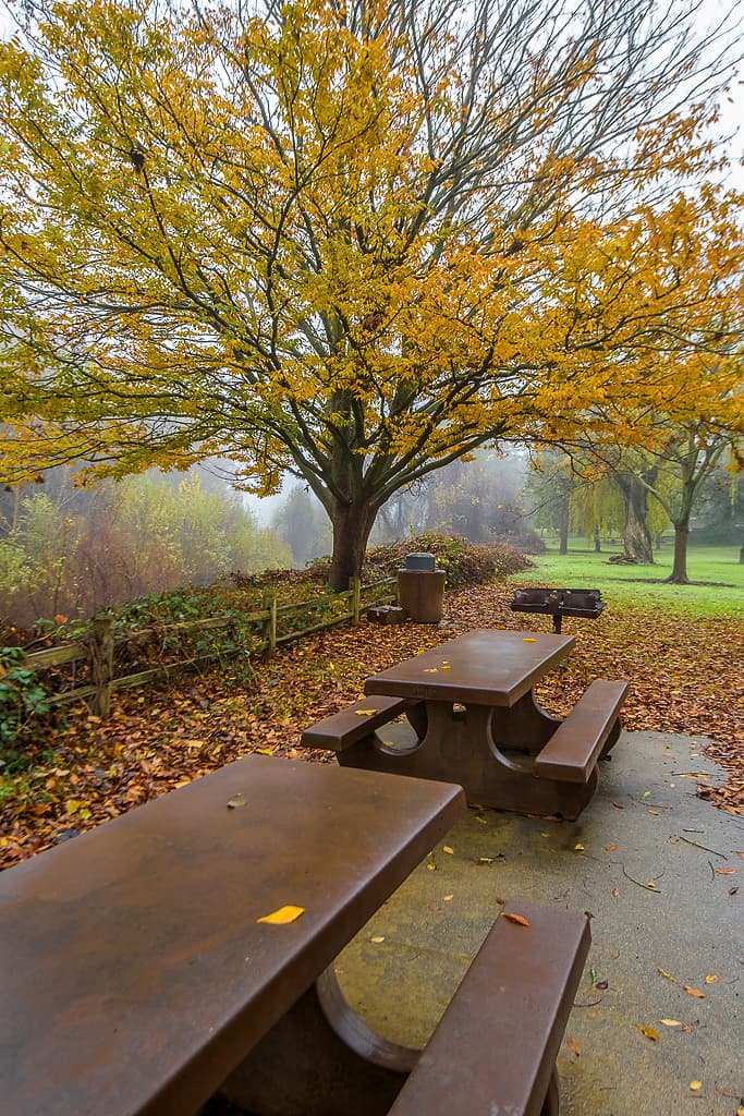 River Campground (sites 2-14) photo 6