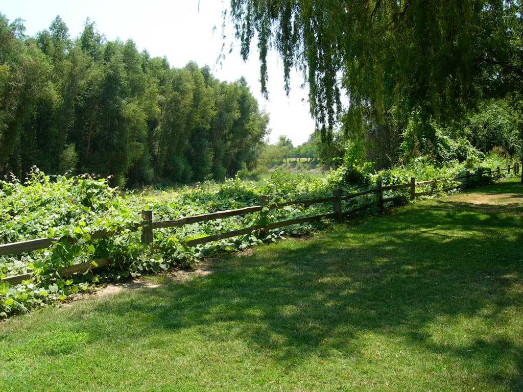 River Campground (sites 2-14) photo 8