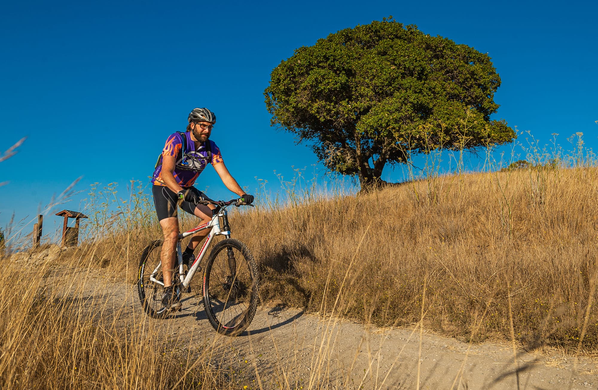 China Camp Group Camping Area photo 8