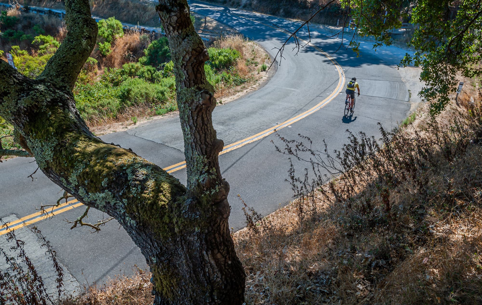 China Camp Group Camping Area photo 5