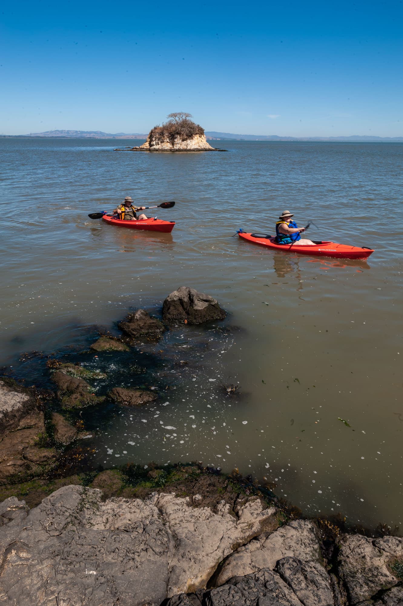 China Camp Group Camping Area photo 4