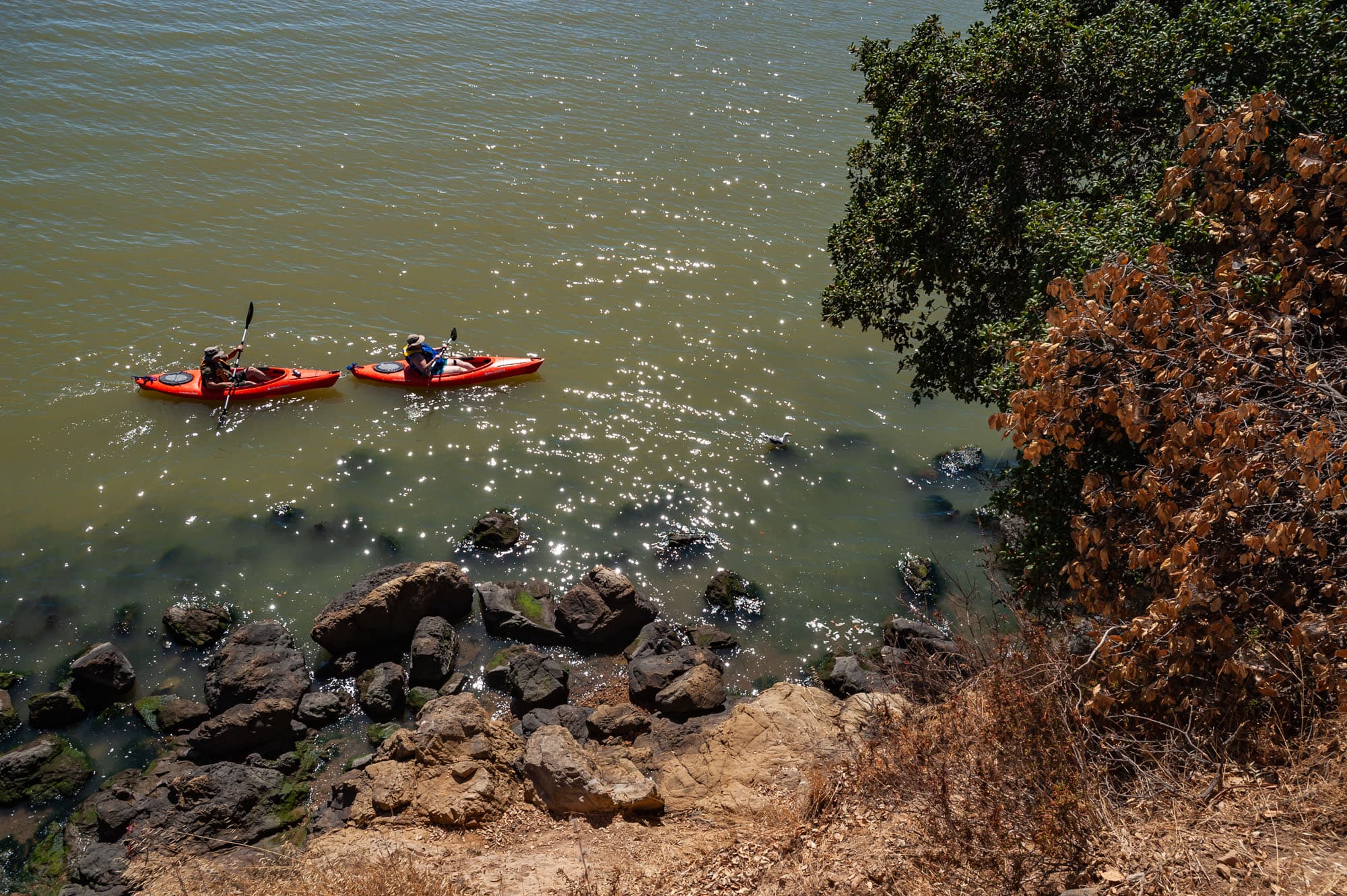 China Camp Group Camping Area photo 3