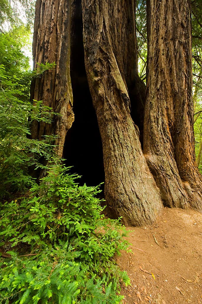 Creekside Loop (sites 1-25) photo 8