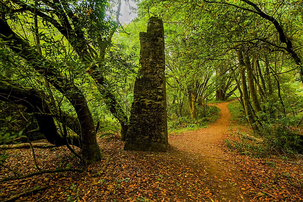 Creekside Loop (sites 1-25) photo 2