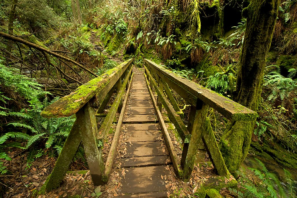 Frank Valley Horse Camp photo 8