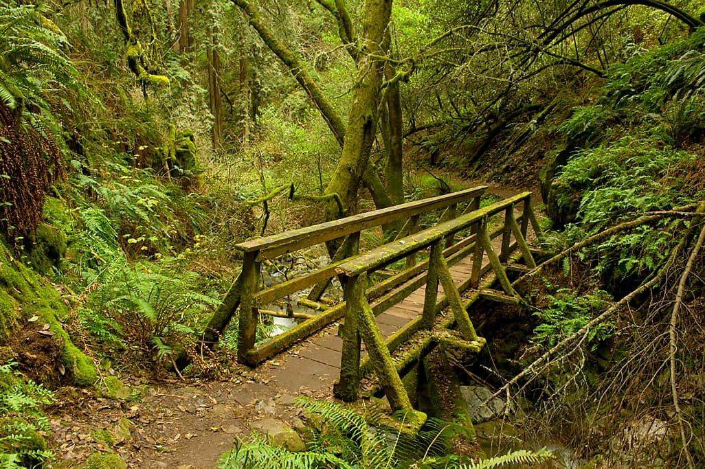 Frank Valley Horse Camp photo 7