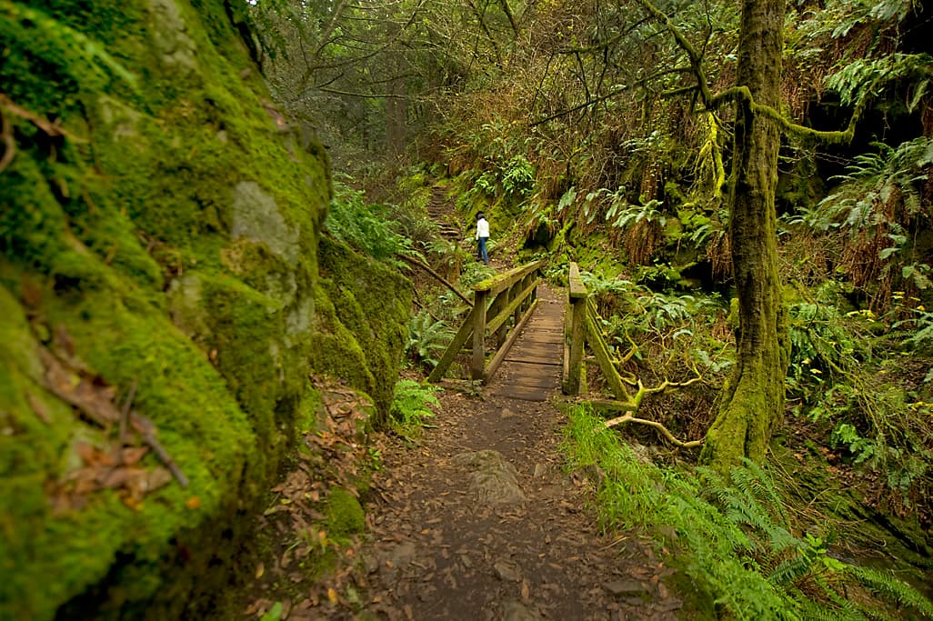 Frank Valley Horse Camp photo 6