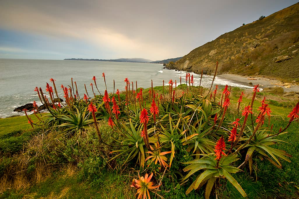 Alice Eastwood Group Camps