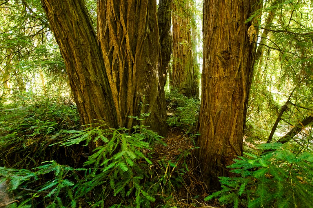 Valley Yurts photo 7