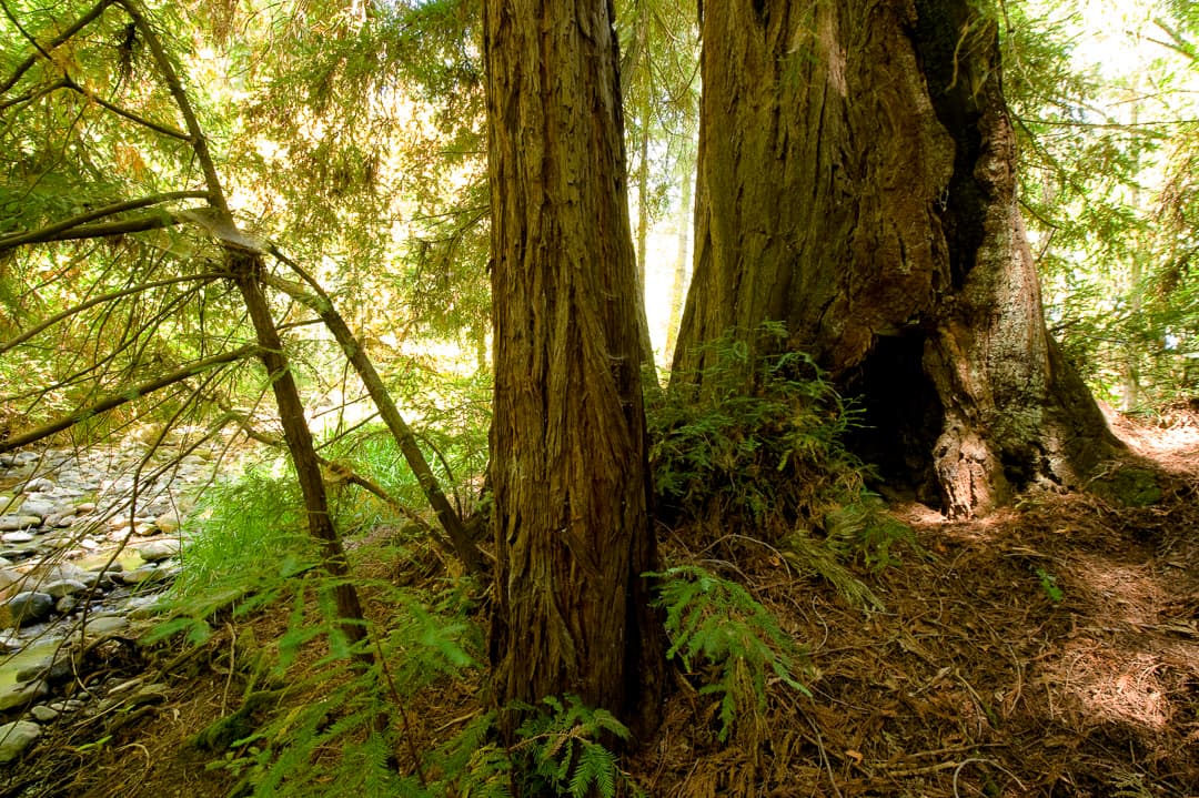 Valley Yurts photo 8