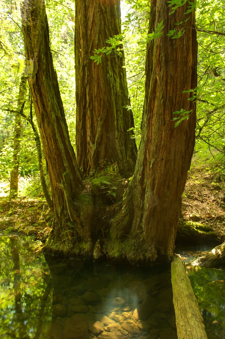 Valley Yurts photo 6