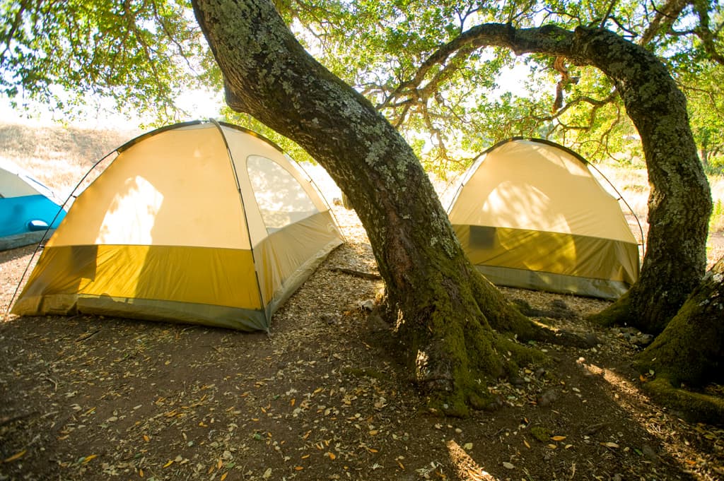 Campground Loop (sites 1-14 & 29-50) photo 3