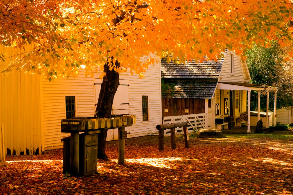 North Bloomfield Cabin Colony photo 8