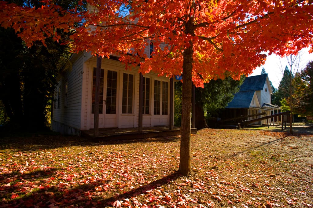 North Bloomfield Cabin Colony photo 7