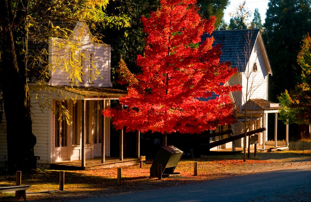 North Bloomfield Cabin Colony photo 6