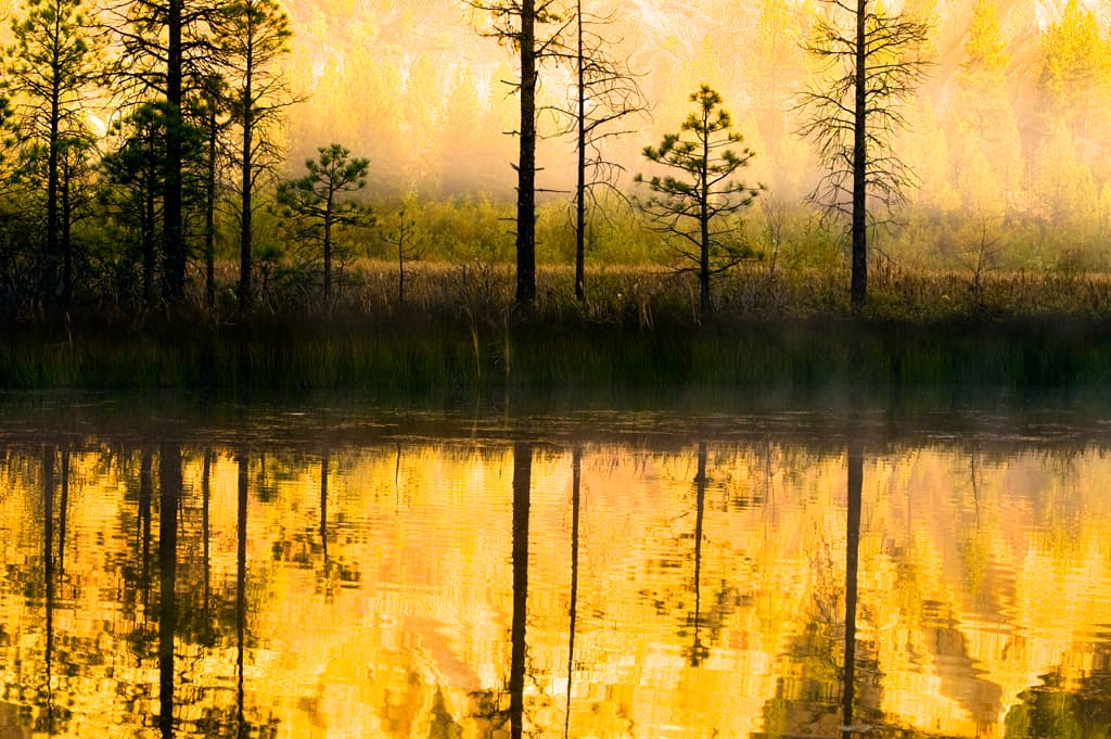 North Bloomfield Cabin Colony photo 5