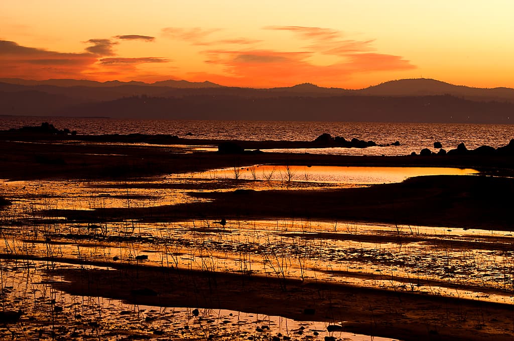 Peninsula Campground (sites 1-57) photo 6