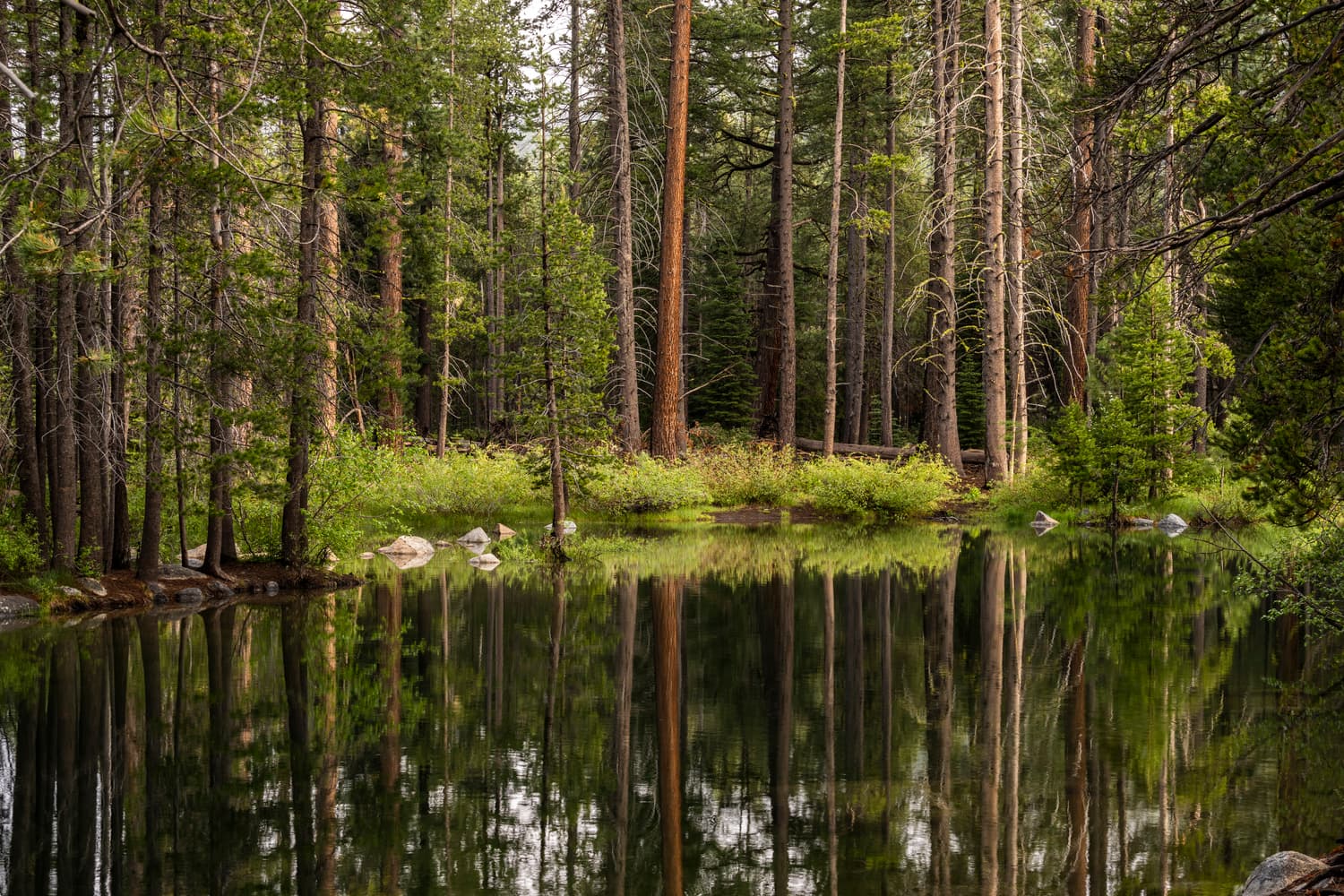 Creek Campground (sites 50-107} photo 2