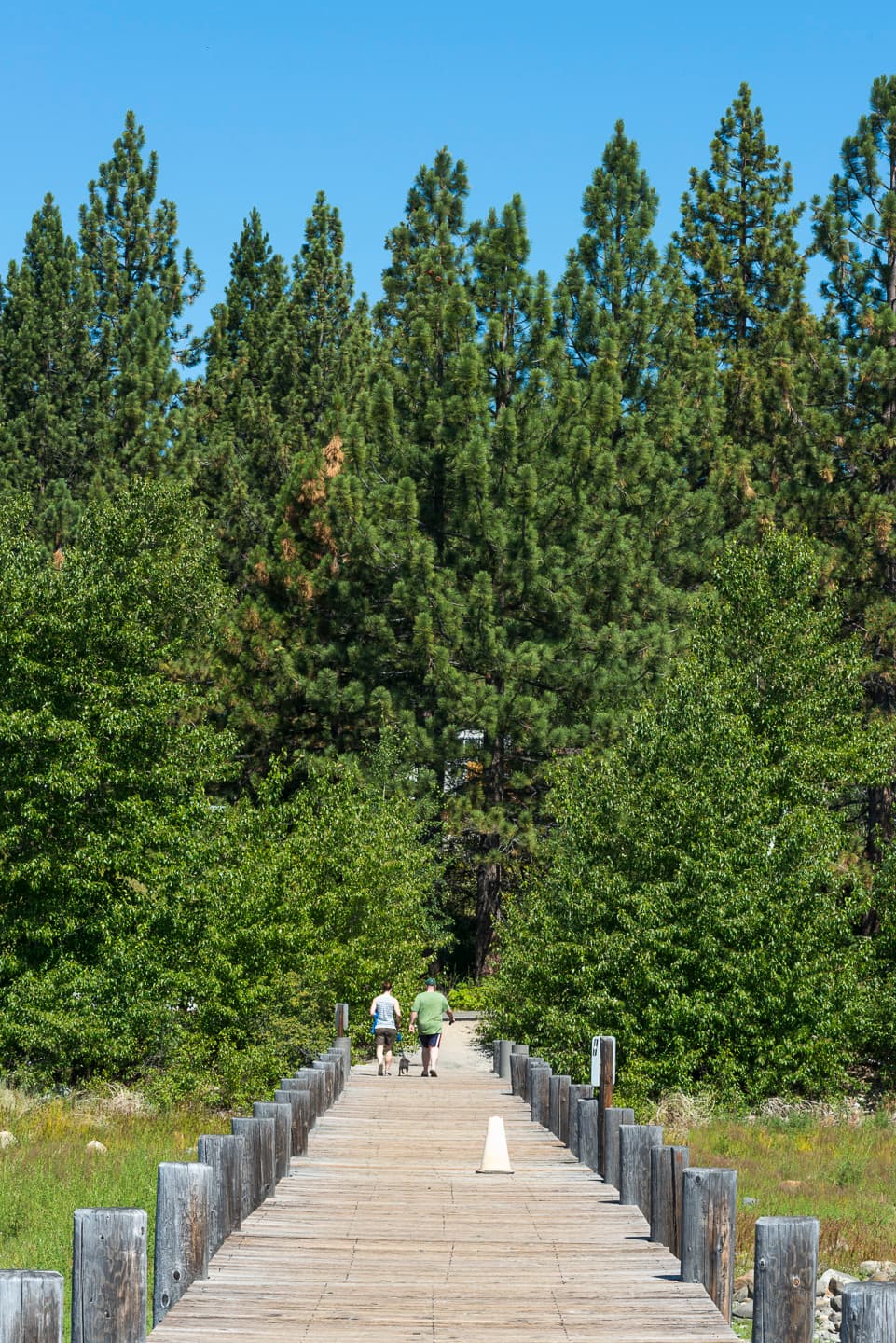 Tahoe Campground photo 7