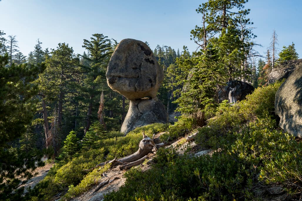 Lower Pine (sites 1-32) photo 7