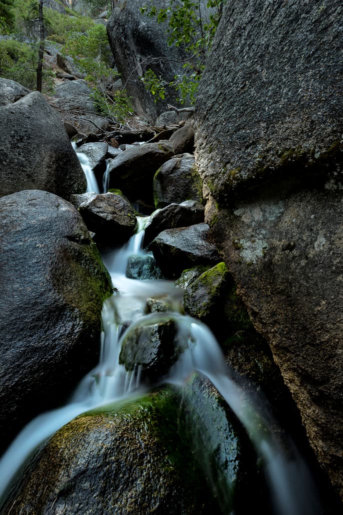 Lower Pine (sites 1-32) photo 5