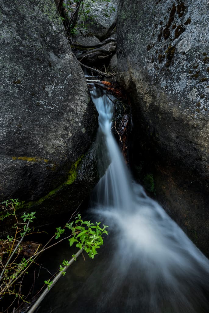 Lower Pine (sites 1-32) photo 4